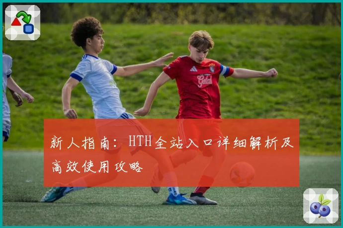 新人指南：HTH全站入口详细解析及高效使用攻略